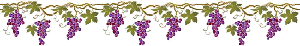 Gif barre grappes de raisins rouges 300 pixels