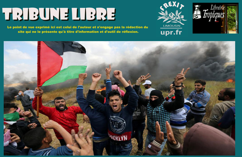 TL TROPIQUES GAZA MANIF