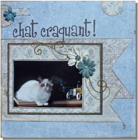 Chat-craquant