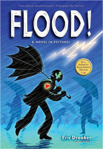 Flood_cover