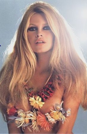 brigitte_bardot_20071219_353036