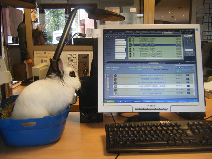FUN FUN A LA RADIO