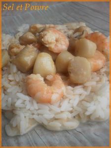 p_toncles_crevettes_poivrons