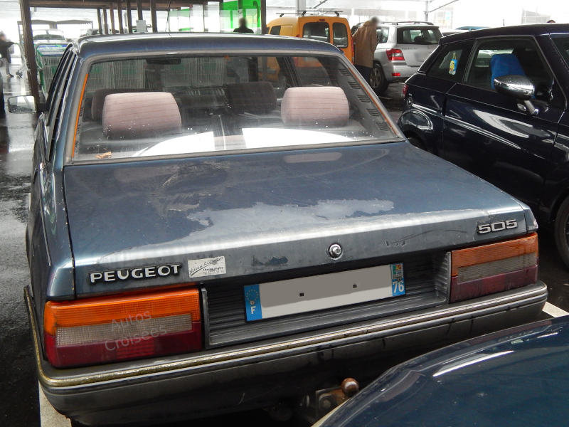 Peugeot505SXar