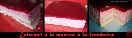 Feuillety___Mousse_fruits_rouges___P_te_bris_e_089_canalok