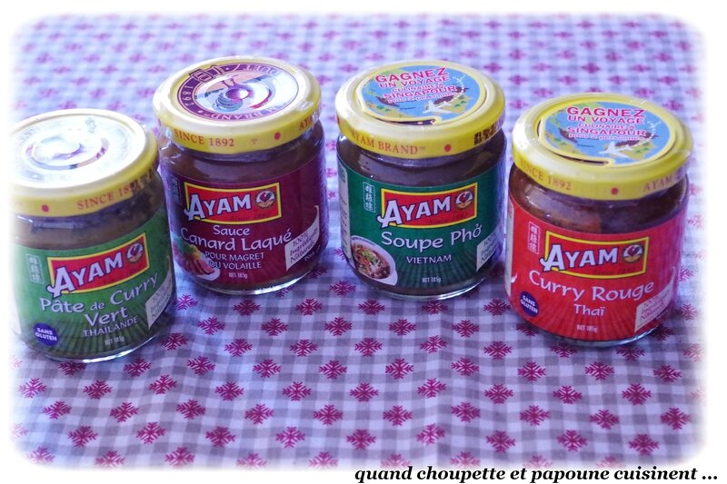 AYAM-7234