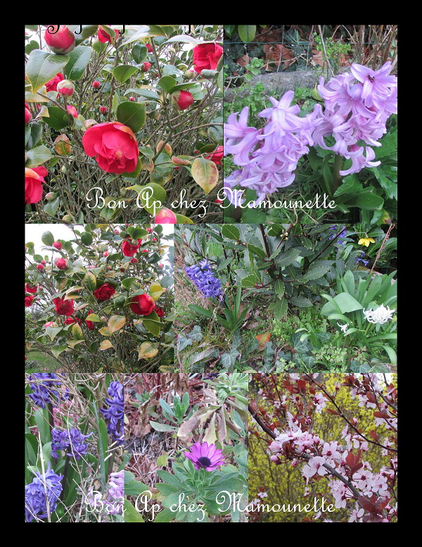 fleurs chez Mamounette joyeux printemps 20