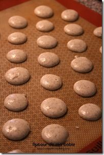 Macarons Noix (6)