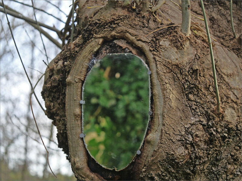 arbre miroir 2 161220