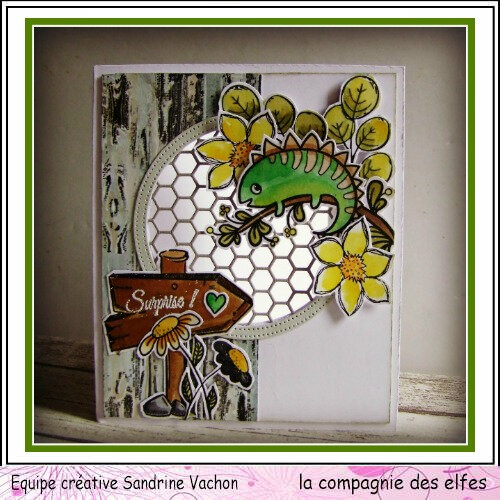 Carte SURPRISE dt LCDE avril (1)
