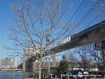 Pont_de_Brooklyn_4