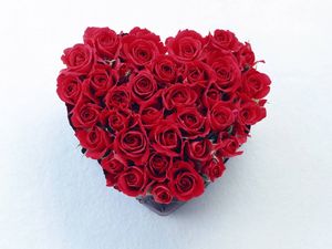love_red_rose_heart_7038