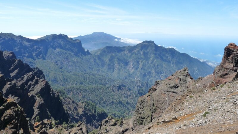 canaries20