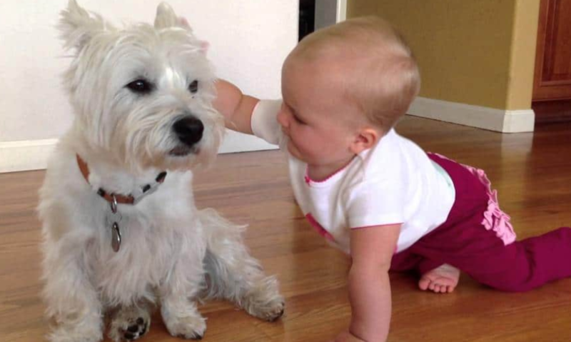 xestie et enfant