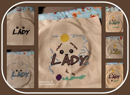 lady BE_salfev21_col2