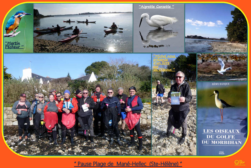 4 Sortie kayak (Ornitho) du Samedi 04-03-23 ( PJ n°4)
