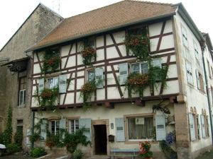 moselle_516