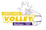 logo section volley