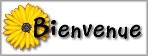 bienvenue
