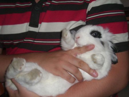 P'TIT LOULOU