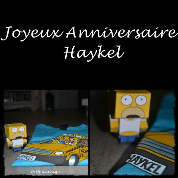 t-shirt Haykel5