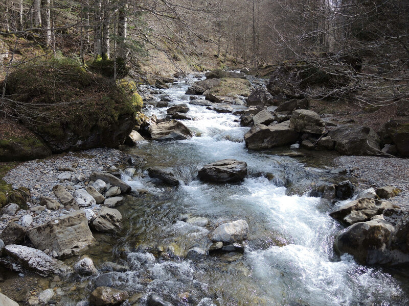 Lac d'Estaens, départ, gave d'Aspe (64)