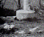 photo tête stèle curé Voyneau