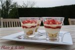 tiramisu_fraises_1