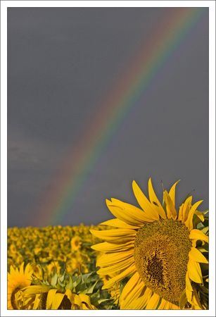 soleil_arc_en_ciel_230710