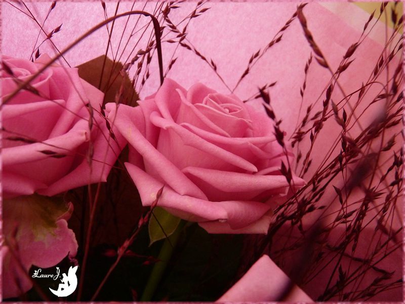 Bouquet roses 5