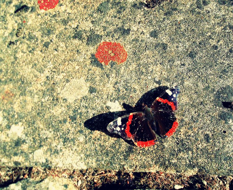 Pourquoi aton des "papillons" dans le ventre? Monna Dege cause tics & explique