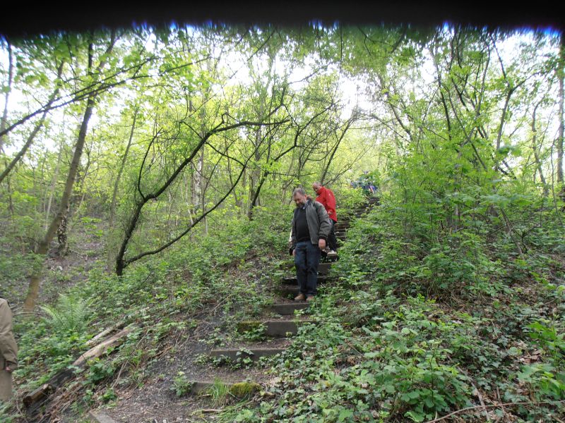177 - Terril du 6 Hornu-Wasmes - descente