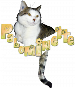 Wordart Paloma1