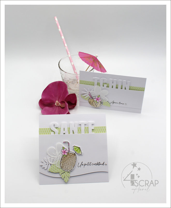 040522 - Cartes Cocktails - AP E22 - J5 #1
