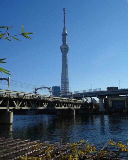 DSC06491
