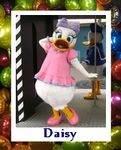 daisy