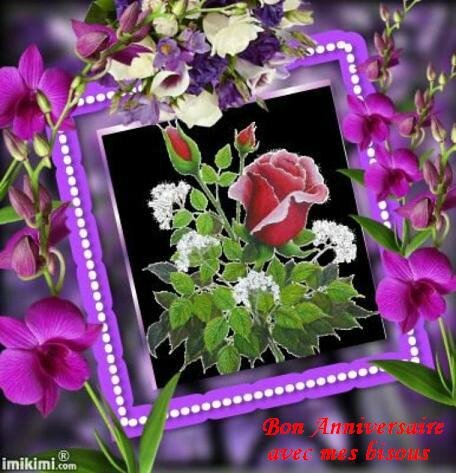 anniv fleurs rges et violettesbPat15