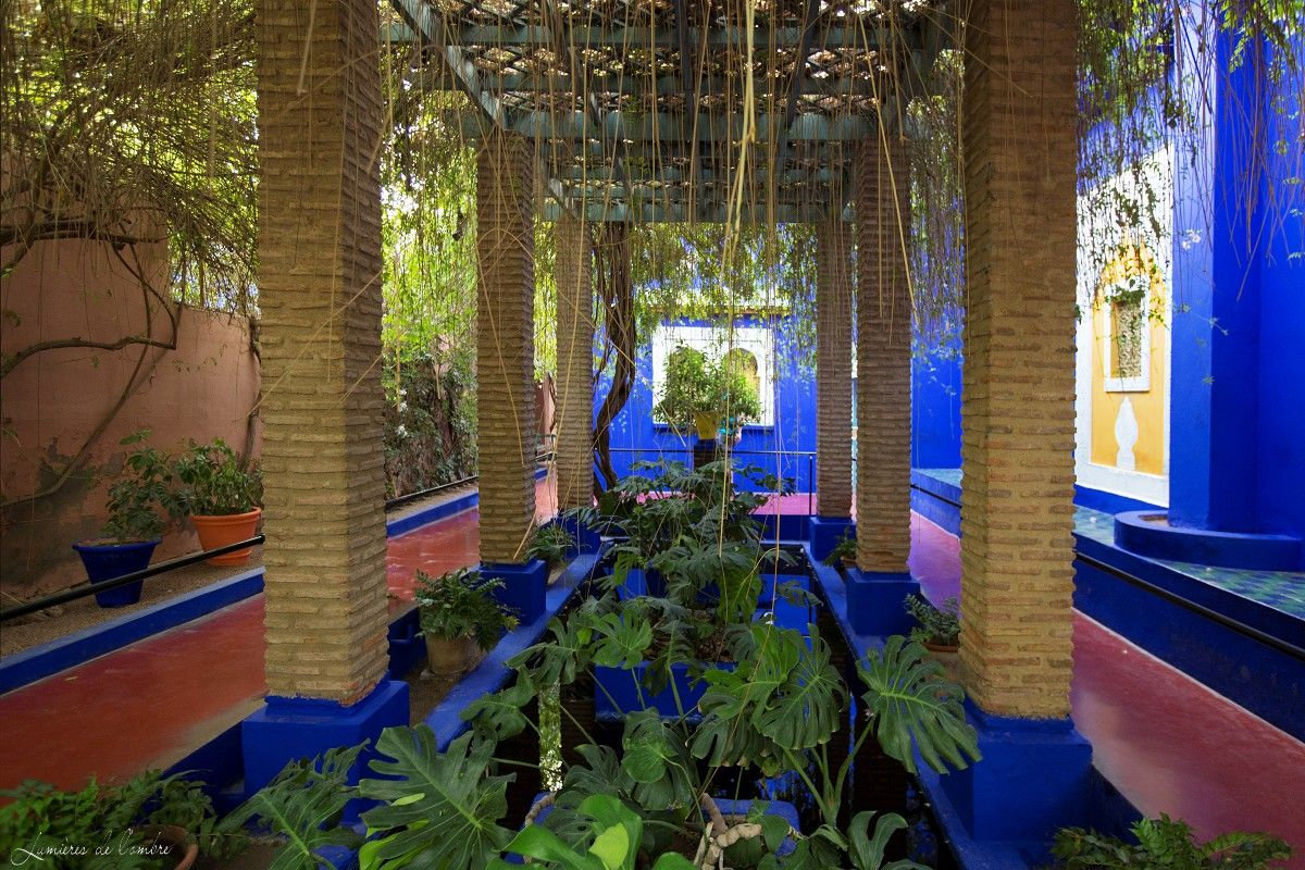 w_Majorelle_Patio_20170929_6455