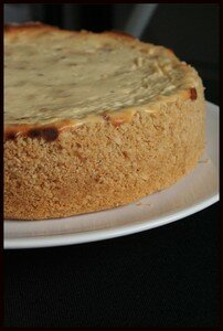 cheesecake_sal__2