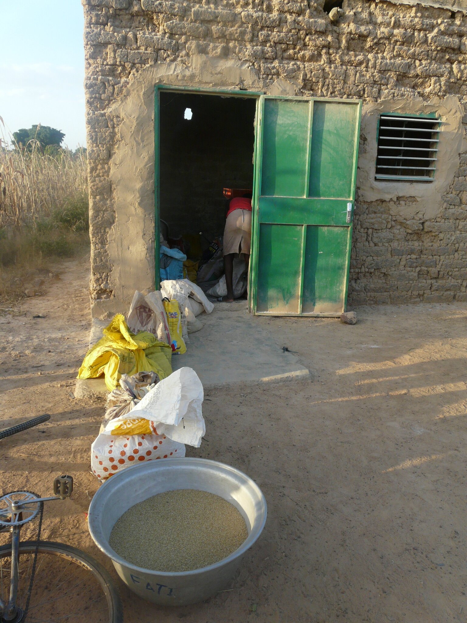 La queue au moulin à mil