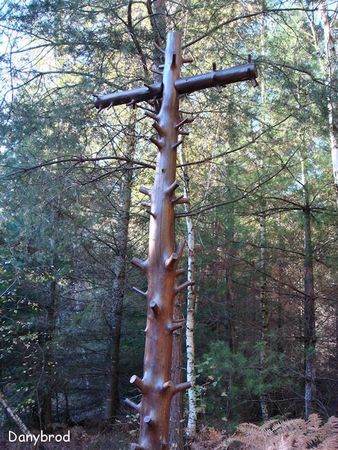 foret epinal