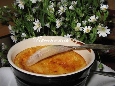 Ananas_gratin__aux_oeufs_017