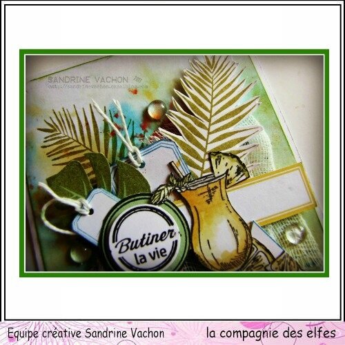 Sandrine VACHON DT LA COMPAGNIE DES ELFES (5)