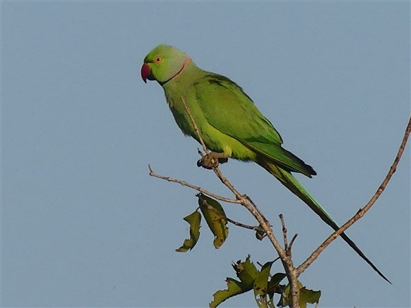 P1270514