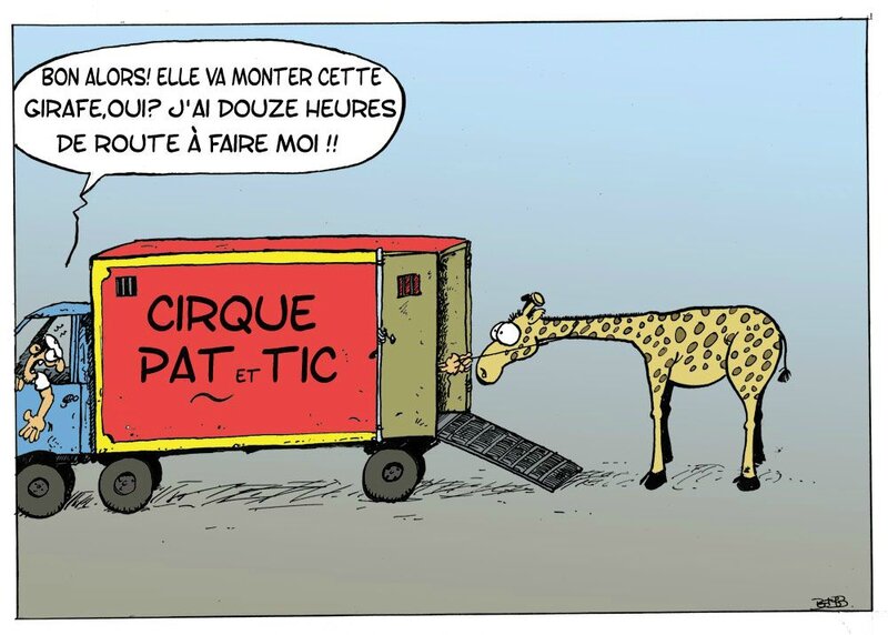 cirque transport