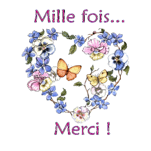 merci_papillons