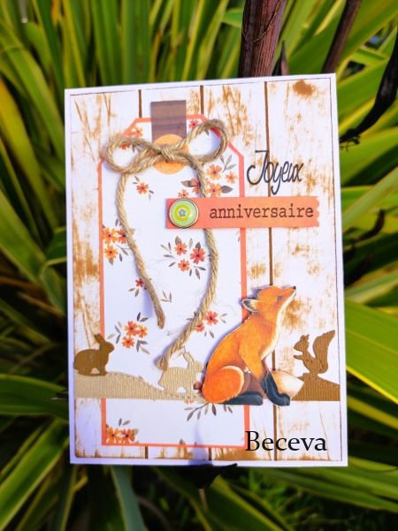 BECEVA - 4