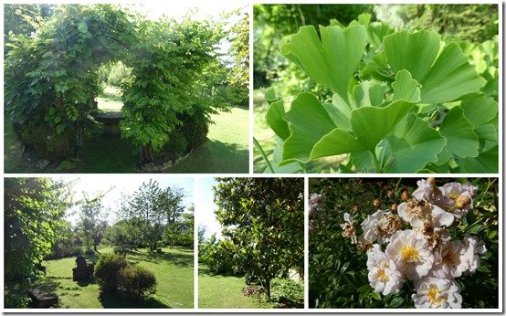 jardin 24 juin 20231