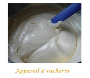 vacherin 3