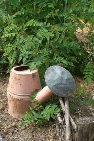Arrosoir-Jardin-roquelin